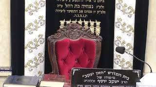 בית המדרש חזון יעקב • יום רביעי כז' כסלו תשפ'ו (בית הכנסת מוסאיוף) - התמונה מוצגת ישירות מתוך אתר האינטרנט יוטיוב. זכויות היוצרים בתמונה שייכות ליוצרה. קישור קרדיט למקור התוכן נמצא בתוך דף הסרטון