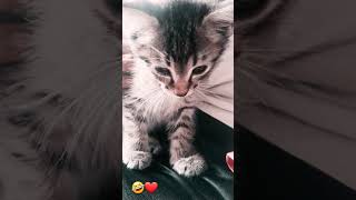 Download lagu 27 June 2024 mp3 Download lagu 27 June 2024 mp3