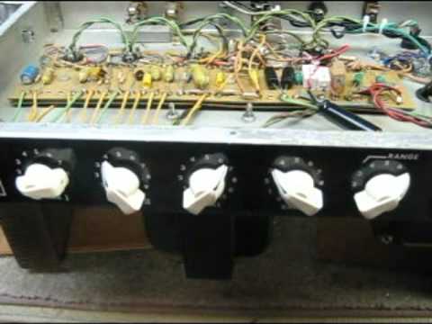 Traynor YBA-1 (this is the amp Donna used on Jimmy Fallon)