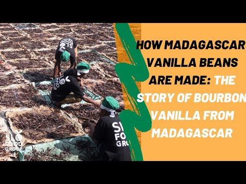 The Story of Vanilla; How Are Madagascar Vanilla Beans Made