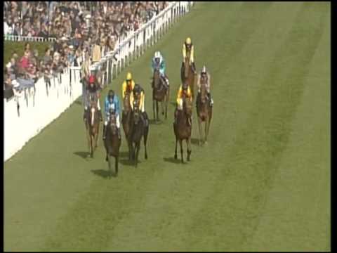 Baden-Baden, RIU Preis der Winterkönigin, 21.10.2012 - Siegerin: Swordhalf