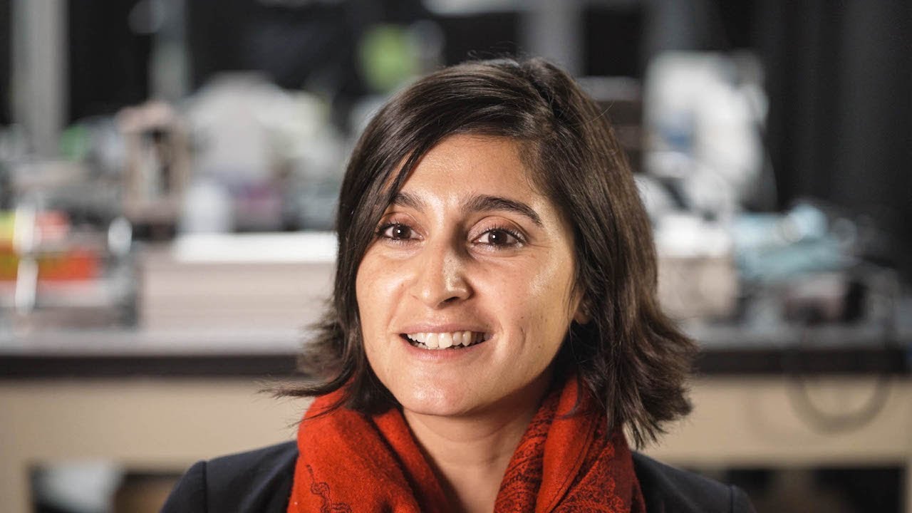 The dynamics of disease transmission