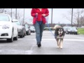 Petsafe Easy Walk® Harness XL juodos petnešos (apimtis 86-117cm)