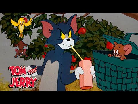 Tom & Jerry | Springtime Chasing | @GenerationWB