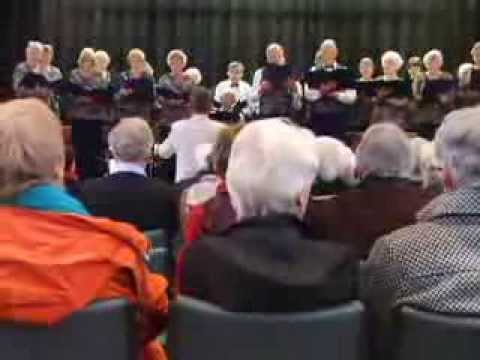 Viooltje zacht van kleuren