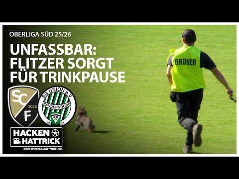 FLITZER IN FREITAL / SC FREITAL vs SG UNION SANDERSDORF / ALL GOALS AND HIGHLIGHTS / OBERLIGA SÜD