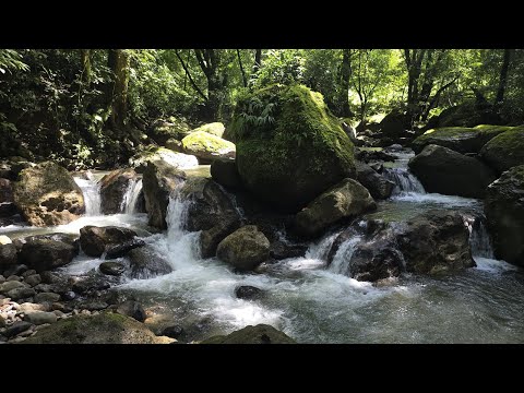 Astrology for the Soul September 10, 2025