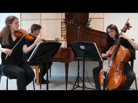 Skrzeczkowski, Rousochatzaki, Adamus - Trio op.5 - Allegro Brillante - Adagio Rêve | 19th Century