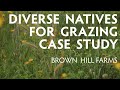 Diverse Native Silvopasture/Savanna  - Case Study