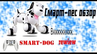 Happy Cow Smart Dog, чёрный (HC-777-338b) - відео 4
