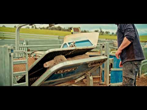 Clipex | Sheep Handling Made Easy | Sheep Handler Pro