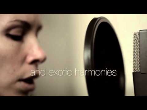 Triplicity featuring Tammy Scheffer