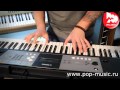 Синтезатор YAMAHA PSR-E233 