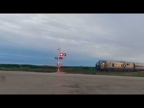 IDTX 4606 Leads Amtrak #382 Zearing, IL 6/30/25