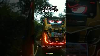 Download lagu Rear Eye Strobe ⁉️ #automotive #bismaniaindonesia #adiputro mp3