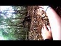 Is Slender Man Real?!?! 