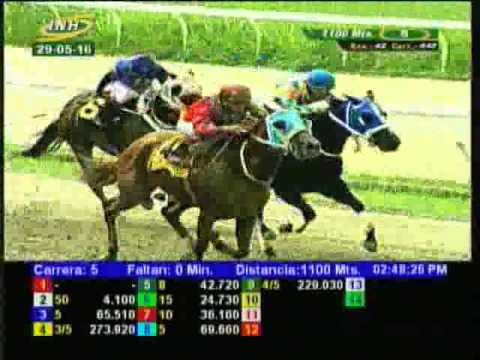 Resumen Domingo, 29 de Mayo de 2016 - La Rinconada