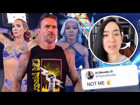 CM Punk FORCED To Get NEW Partner After AJ Lee TURNS Down Return!