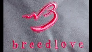 Video thumbnail for Breedlove Passport C200/SMP by sockenfrank