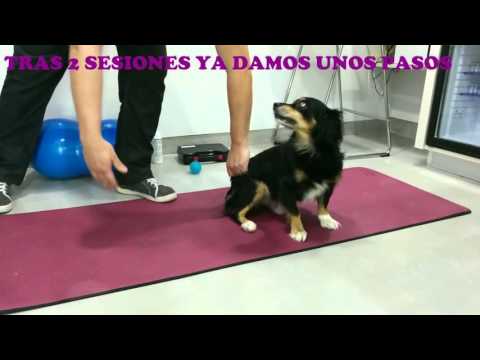 Historias de superacion Moro