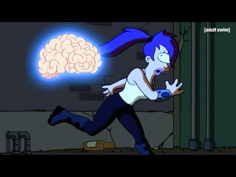 Nibbler Saves Leela from Floating Brains | Futurama | adult swim