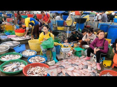 The Ultimate Live Fish Market: Wholesale River Fish Distribution at Riverside 2026
