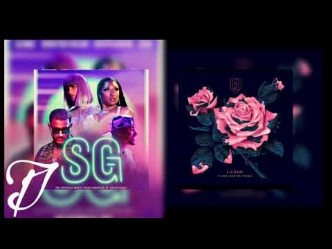 lildami x DJ Snake, Ozuna, Megan Thee Stallion, BLACKPINK Lisa - SM (MASHUP)