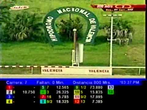 Resumen Viernes, 28 de Noviembre de 2014 - Valencia