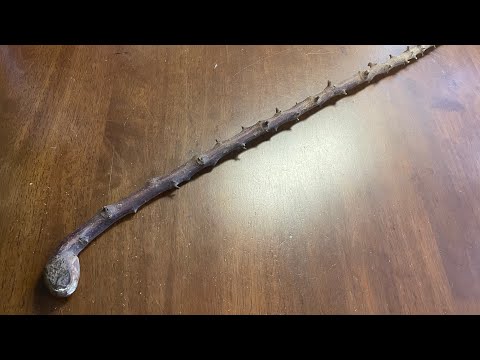What an old blackthorn Shillelagh really looks like - McCaffreyCrafts
