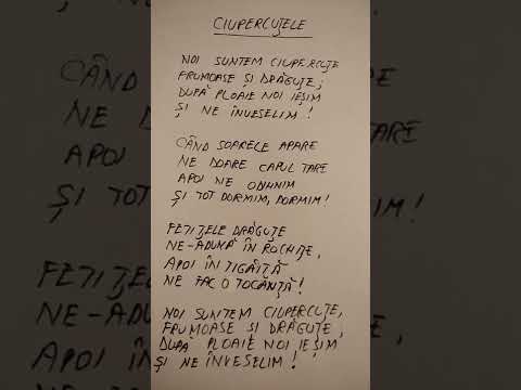 Noi suntem ciupercute (După CânteceGrădiniță.ro)