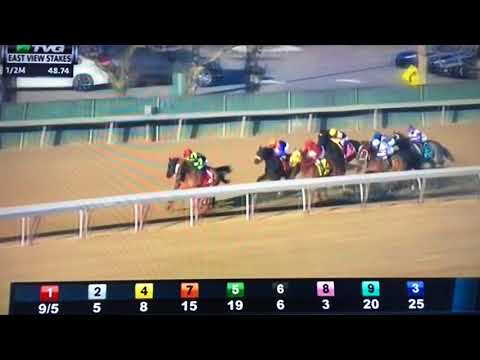 EAST VIEW (G STAKES) 1/14/18 - ENGLISH SOUL !!!