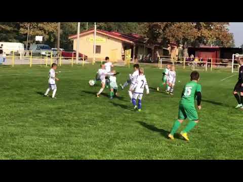 NK vinogradar i Zdencina