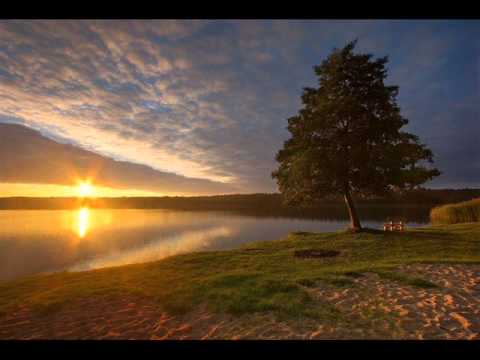 Fallin In Love With You - Phil Driscoll