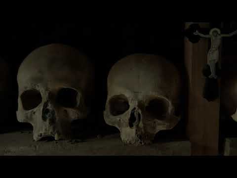 afbeelding Where Are You, Adam?