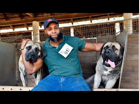 Kenyans hunt for rare dog breeds as companions