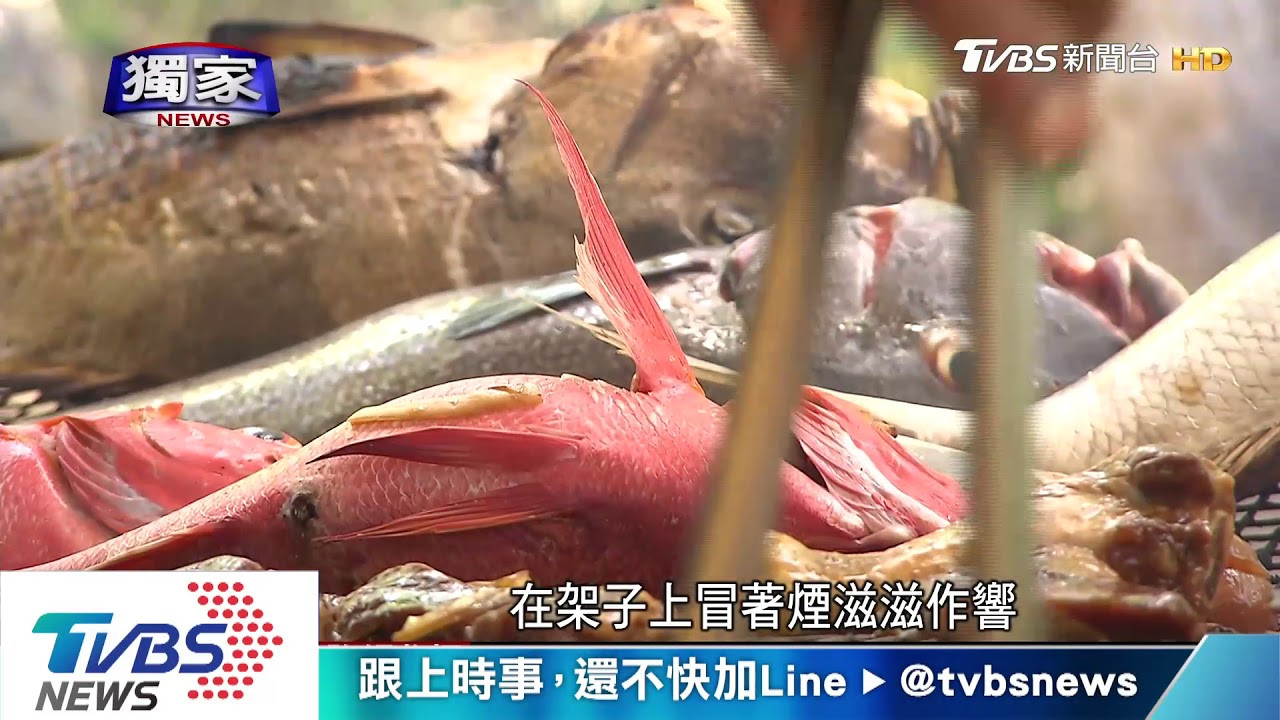 跟帛琉總統一起出海！　探邦交國海洋永續