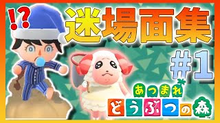 【あつ森】爆笑！おもしろ珍・名場面シーンまとめ集#1【あつまれどうぶつの森】