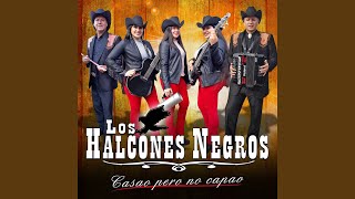 El Hijo e Tuta Lyrics English Translation