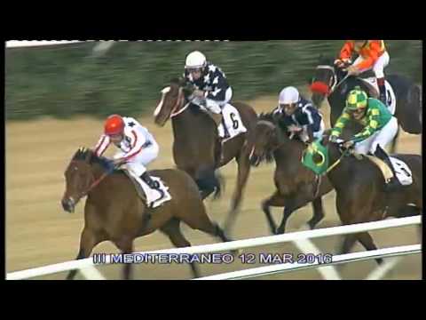 Galoppo Corse del 12 MARZO 2016