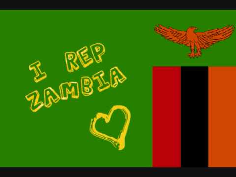 Dandy Krazy - Zuba Yanga