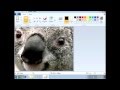 Vinesauce Joel Windows 7 Destruction