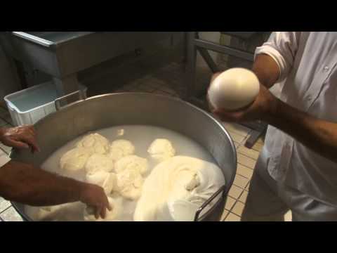 Scarchilli Company Video