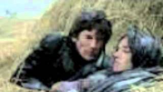 Flamin' Groovies -- Teenage Confidential