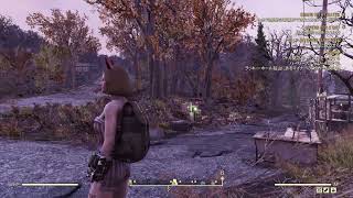 fallout 76　朝から