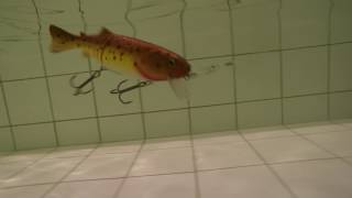 JOE BUCHER SWIM'N JOE lure demo pooldemo