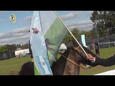 Yapeyú Corrientes 2da parte  #caballos #jinete #charreada #jaripeo #rodeo#Cowboy #horse video