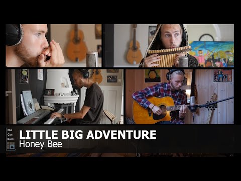 Little Big Adventure 2 - Honey Bee (OneCamBand Cover)