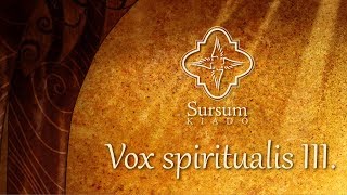 Vox spiritualis III. A filozófia szükségességéről és szükségtelenségéről
