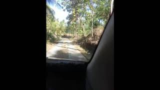 preview picture of video 'Kondisi Jalan Pantai Banyu Tibo'