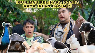 Download lagu IGUN WANT TO KEEP SHEEP LIKE IRFAN HAKIM?! mp3 Download lagu IGUN WANT TO KEEP SHEEP LIKE IRFAN HAKIM?! mp3